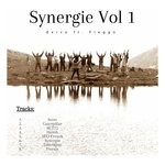 cover: Dxrvo|Fleggo - Synergie Vol 1