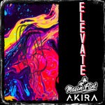 cover: Akria Br|Mason Flint - Elevate