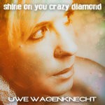 cover: Uwe Wagenknecht - Shine On You Crazy Diamond