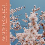 cover: Fabich|Ferdinand Weber|Kelli-leigh - What They Call Love