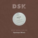 cover: Dsk - What Would We Do