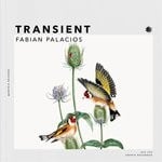 cover: Fabian Palacios - Transient