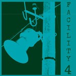 cover: The Woodleigh Research Facility - Facility 4: Downhill