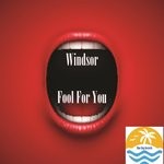 cover: Windsor - Fool For You