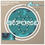 cover: Flux Pavilion X What So Not - 20:25