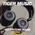 cover: Various - Ibiza Future House Spring '20