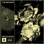 cover: Gent & Jawns - The Meaning