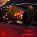 cover: Fwlr & Brdgs - Suspicious