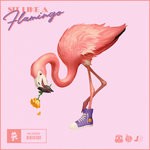 cover: Disero|Half An Orange|Josh Bogert - Sit Like A Flamingo