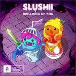 cover: Slushii - Dreaming Of You