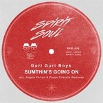 cover: Guri Guri Boys|Tracy Hamlin - Sumthin's Going On