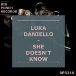 cover: Luka Daniello - She Doesn't Know