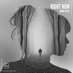 cover: Kenny Kelly - Right Now