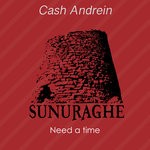 cover: Cash Andrein - Need A Time