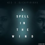 cover: 40d|Dj Caipirinha - A Spell In The Wind