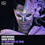 cover: Dana Divine|Soulbridge - If Your Love Is True