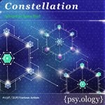 cover: Space Byrd|Various - Constellation