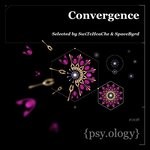 cover: Space Byrd|Switchcache|Various - Convergence