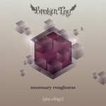 cover: Broken Toy - Necessary Roughness