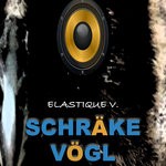 cover: Elastique V. - Schrake Vogl