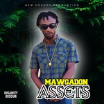 cover: Mawgadon - Assets