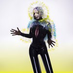 cover: Bjork - Vulnicura