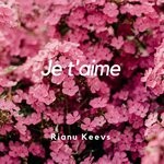 cover: Rianu Keevs - Je T'aime