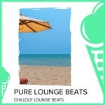 cover: Shinoy Paul|Various - Pure Lounge Beats - Chillout Lounge Beats