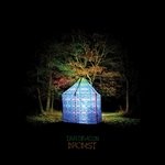 cover: Dan Deacon - Bromst