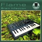 cover: Flame - Brain Infection