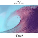 cover: Zyqs - You Know It