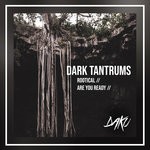 cover: Dark Tantrums - Rootical EP