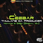 cover: Ceebar & Thulane Da Producer - Nothing Is Deep