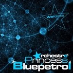 cover: Orchestre Princess Bluepetrol - Wardance