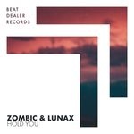 cover: Zombic & Lunax - Hold You