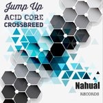 cover: Various - Jump Up, Acid Core, Crossbreed