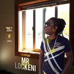 cover: Silver Cat - Mr Lockeni