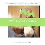 cover: Babyface Ray|Veeze - Meg The Stallion