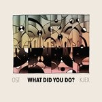 cover: Ost & Kjex - What Did You Do?