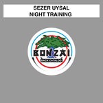 cover: Sezer Uysal - Night Training