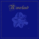 cover: Bostock - Neverland