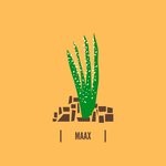 cover: Maax - Primula