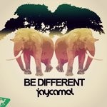 cover: Jaycamel - Be Different