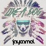 cover: Jaycamel - Like A Dog