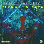 cover: Pablo Caballero - Plunge In Keys