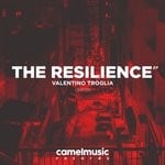 cover: Valentino Troglia - The Resilience