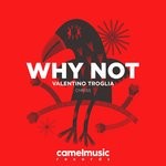 cover: Valentino Troglia - Why Not