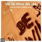 cover: Andrew Fields|Steven Liquid - We Do What We Like