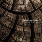 cover: Emerging Patterns - Canceled Chronologies