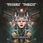 cover: Transient Disorder|X-side - What Are Psychedelics